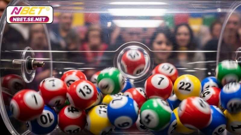 Nuôi lô bạch thủ khung 2 ngày - Chiến lược toàn diện 