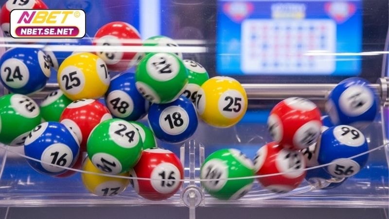 Nuôi song thủ lô khung 5 ngày - Chiến lược bền vững 